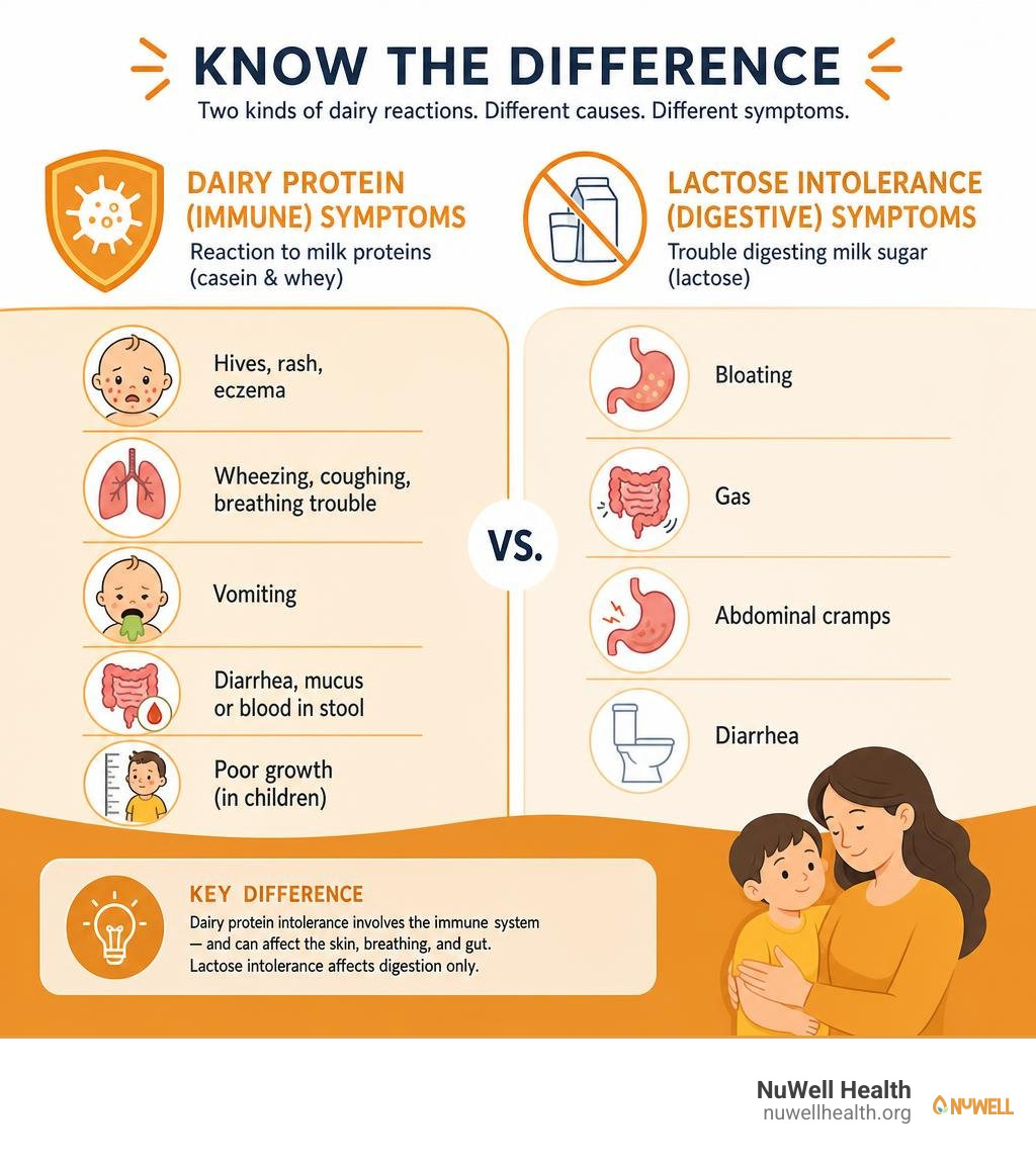 Infographic comparing dairy protein immune symptoms with lactose intolerance digestive symptoms infographic