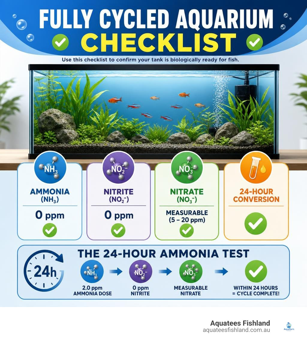 Infographic checklist showing parameters for a fully cycled aquarium infographic