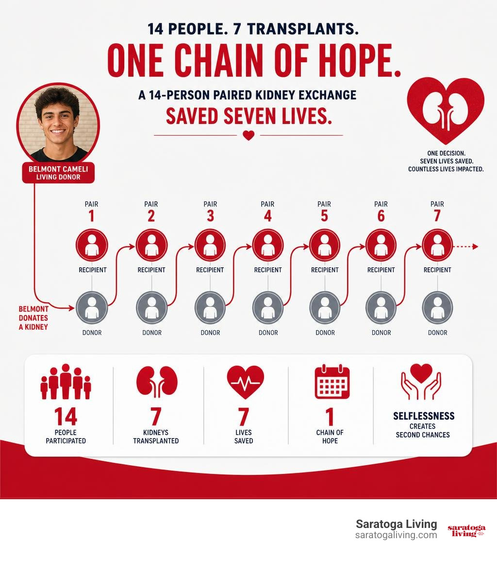 Infographic of the 14-person paired kidney exchange saving seven lives infographic Infographic of the 14-person paired kidney exchange saving seven lives infographic