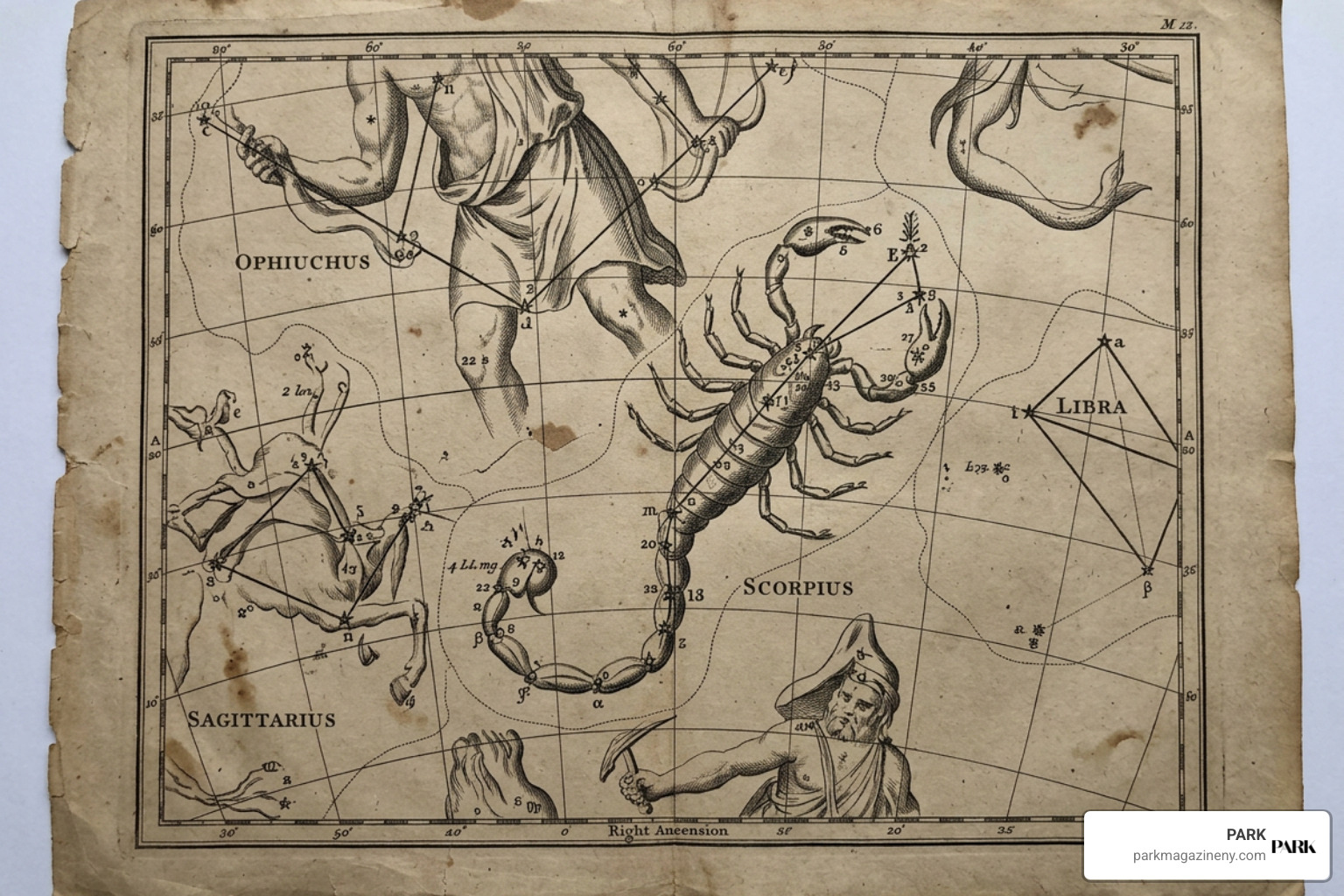 antique astronomical chart depicting Scorpius antique astronomical chart depicting Scorpius