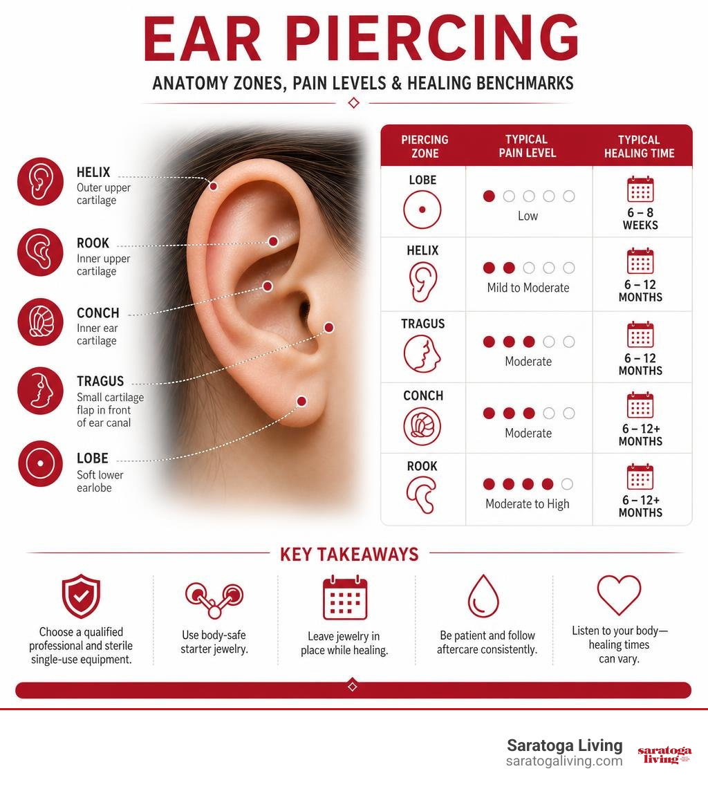 Ear piercing anatomy zones, typical pain levels and healing benchmarks infographic