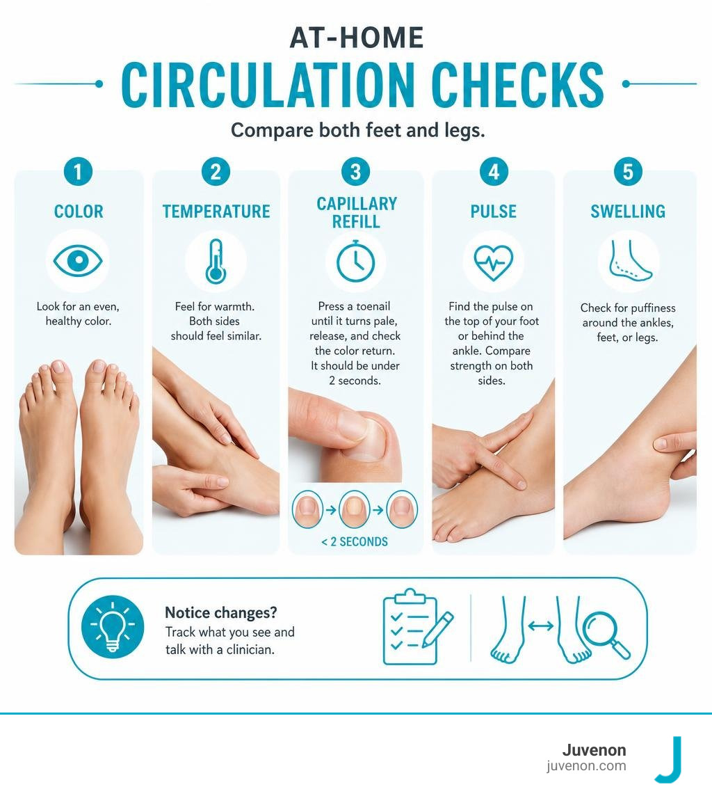 At-home circulation checks: color, temperature, capillary refill, pulse, and swelling infographic