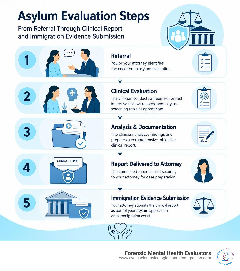Asylum evaluation steps from referral through clinical report and immigration evidence submission infographic