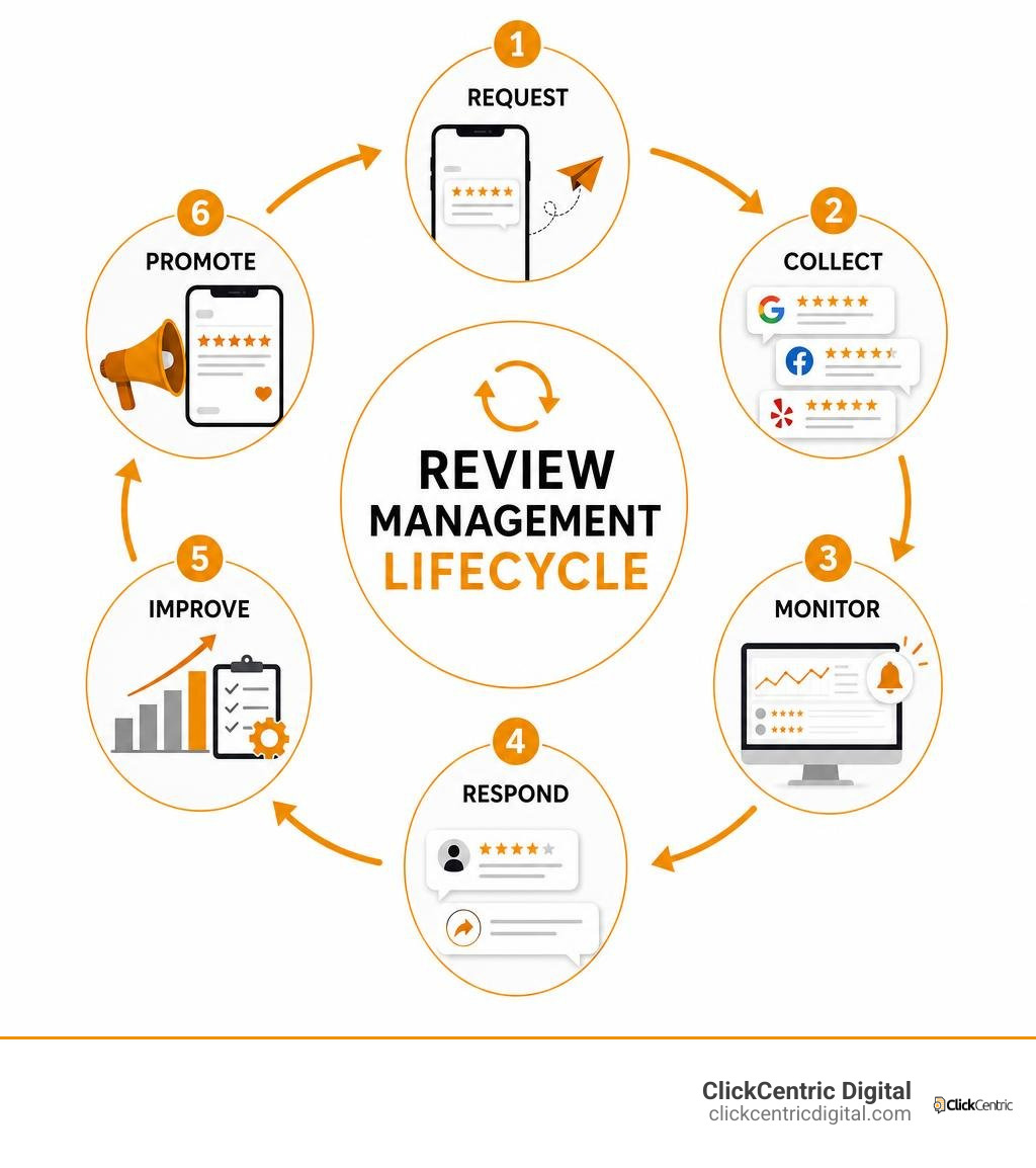 Review management lifecycle: request, collect, monitor, respond, improve, promote infographic
