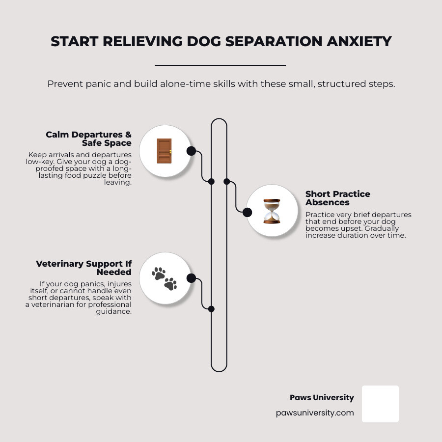 Infographic showing calm departures, safe space, short practice absences, and gradual progress infographic