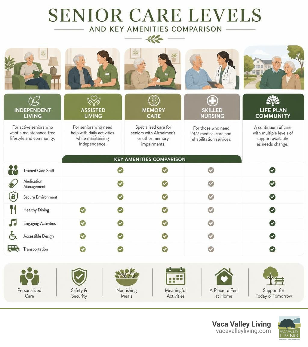 infographic comparing senior care levels and key amenities infographic infographic comparing senior care levels and key amenities infographic