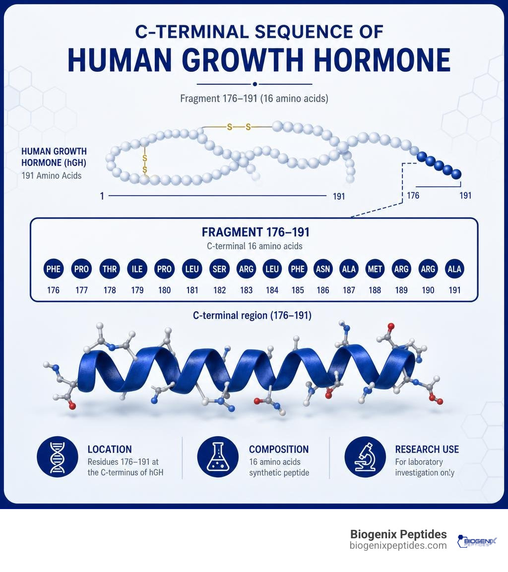 C-terminal sequence of human growth hormone infographic C-terminal sequence of human growth hormone infographic
