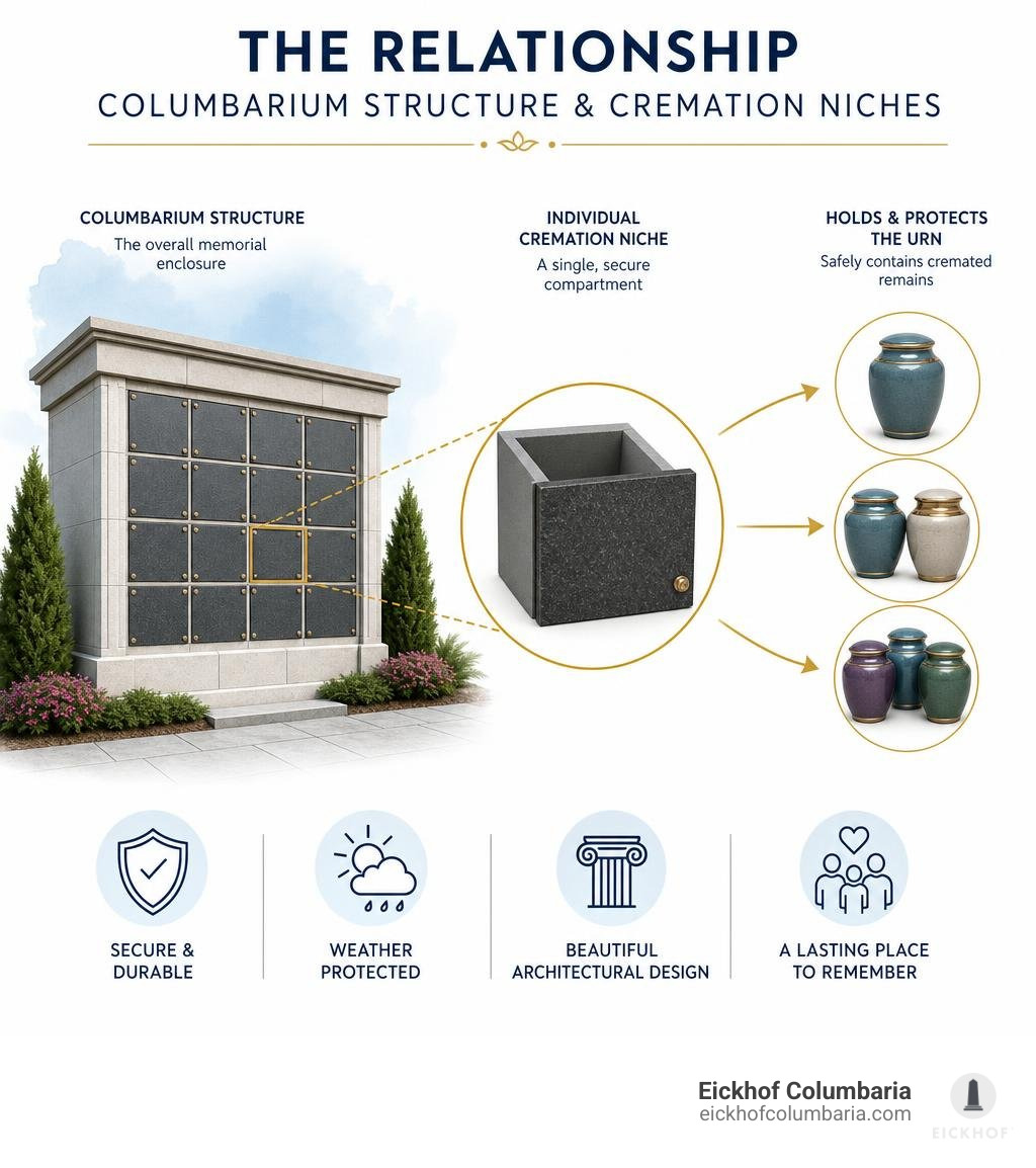 Relationship between a columbarium structure and individual cremation niches infographic