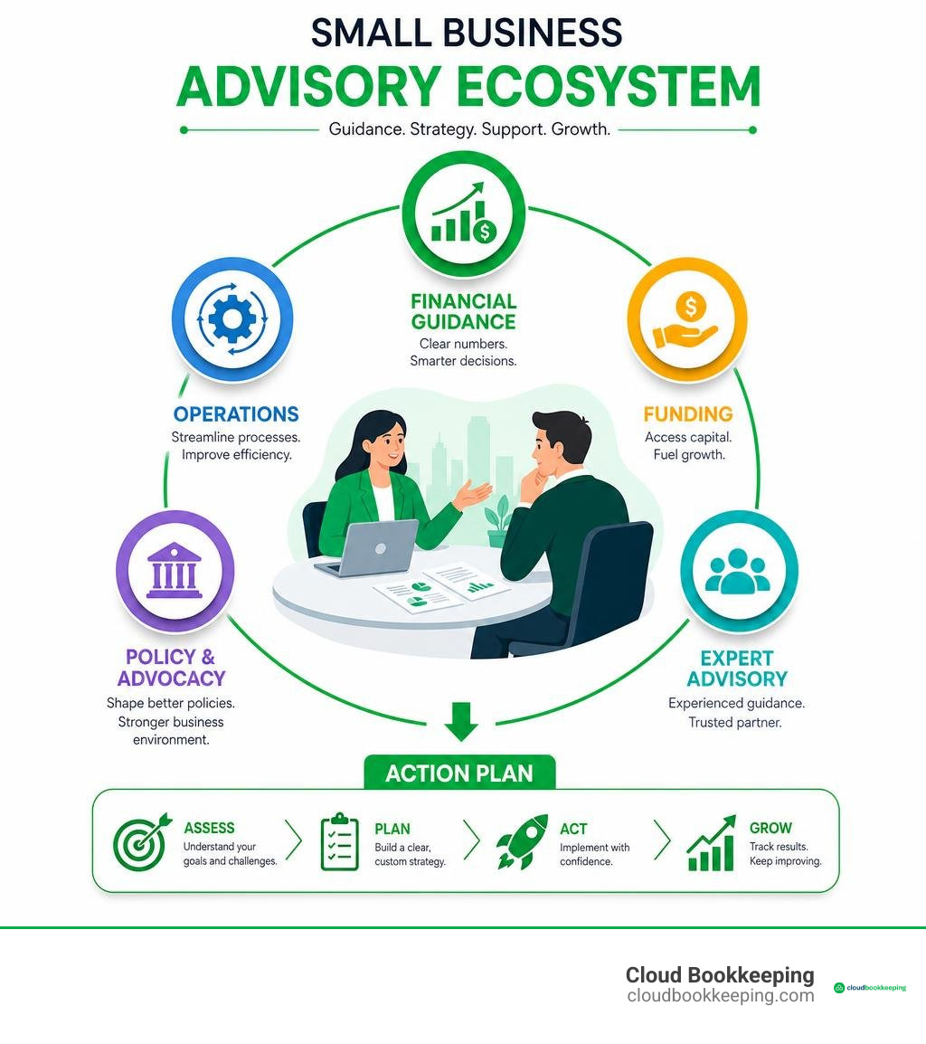 Small business advisory ecosystem: financial guidance, operations, funding, policy, and action plan infographic