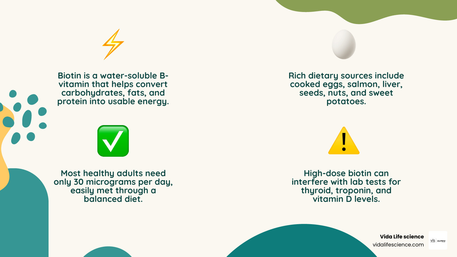 Biotin vitamin overview: energy metabolism, food sources, daily needs, and lab-test warning infographic