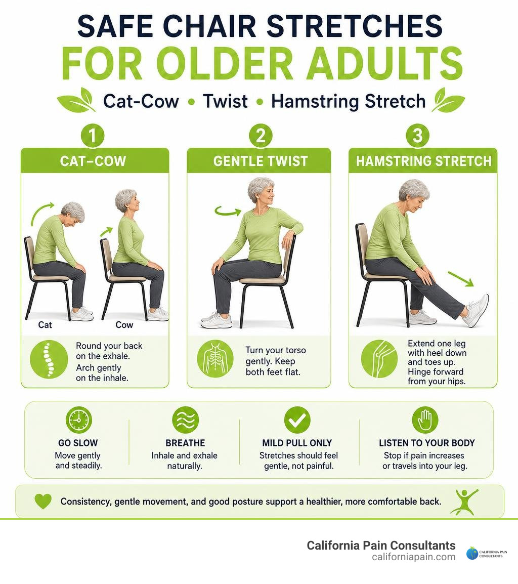 Safe chair stretches for older adults: cat-cow, twist, and hamstring stretch infographic