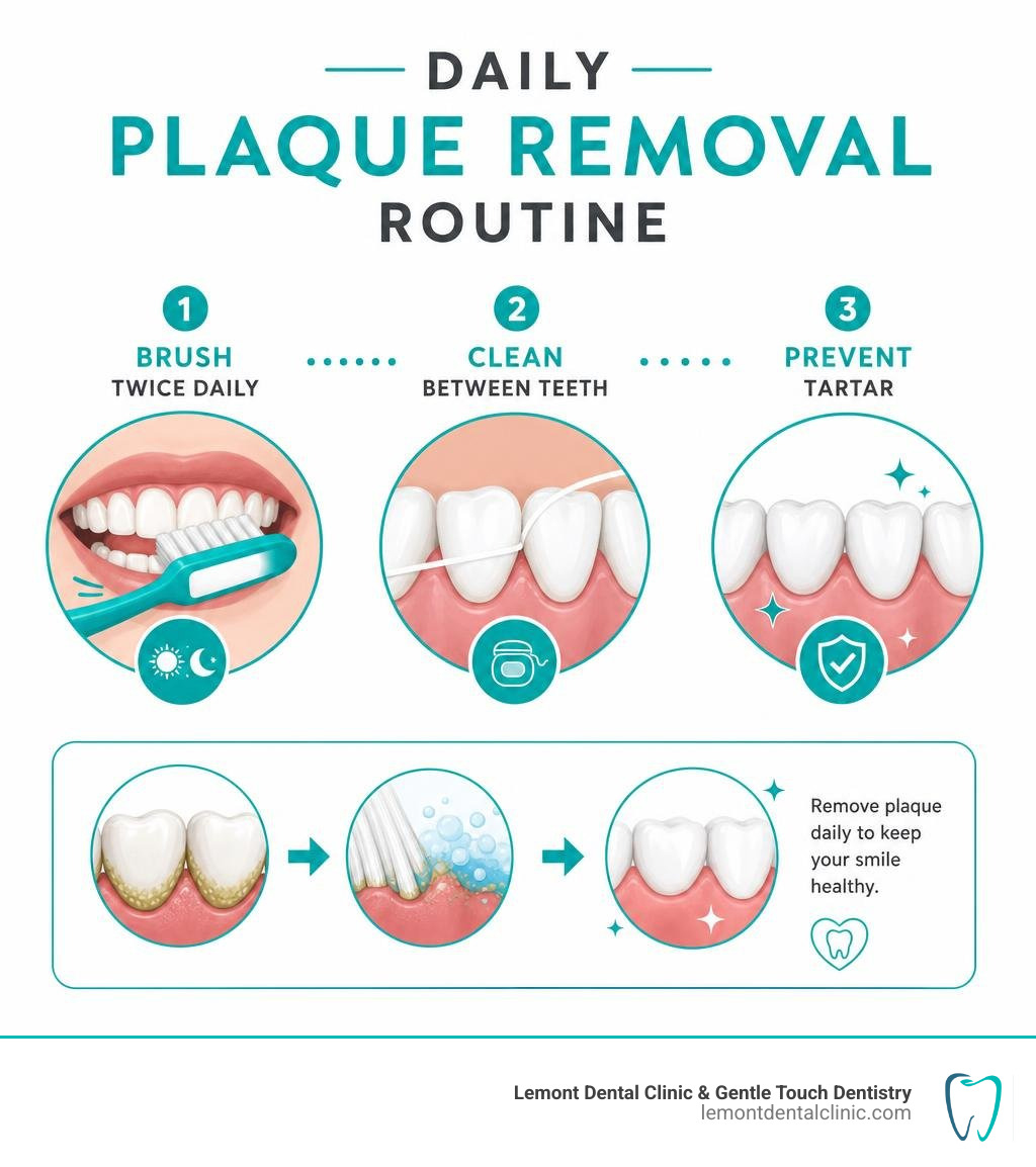 Daily plaque removal routine: brush twice daily, clean between teeth, prevent tartar infographic