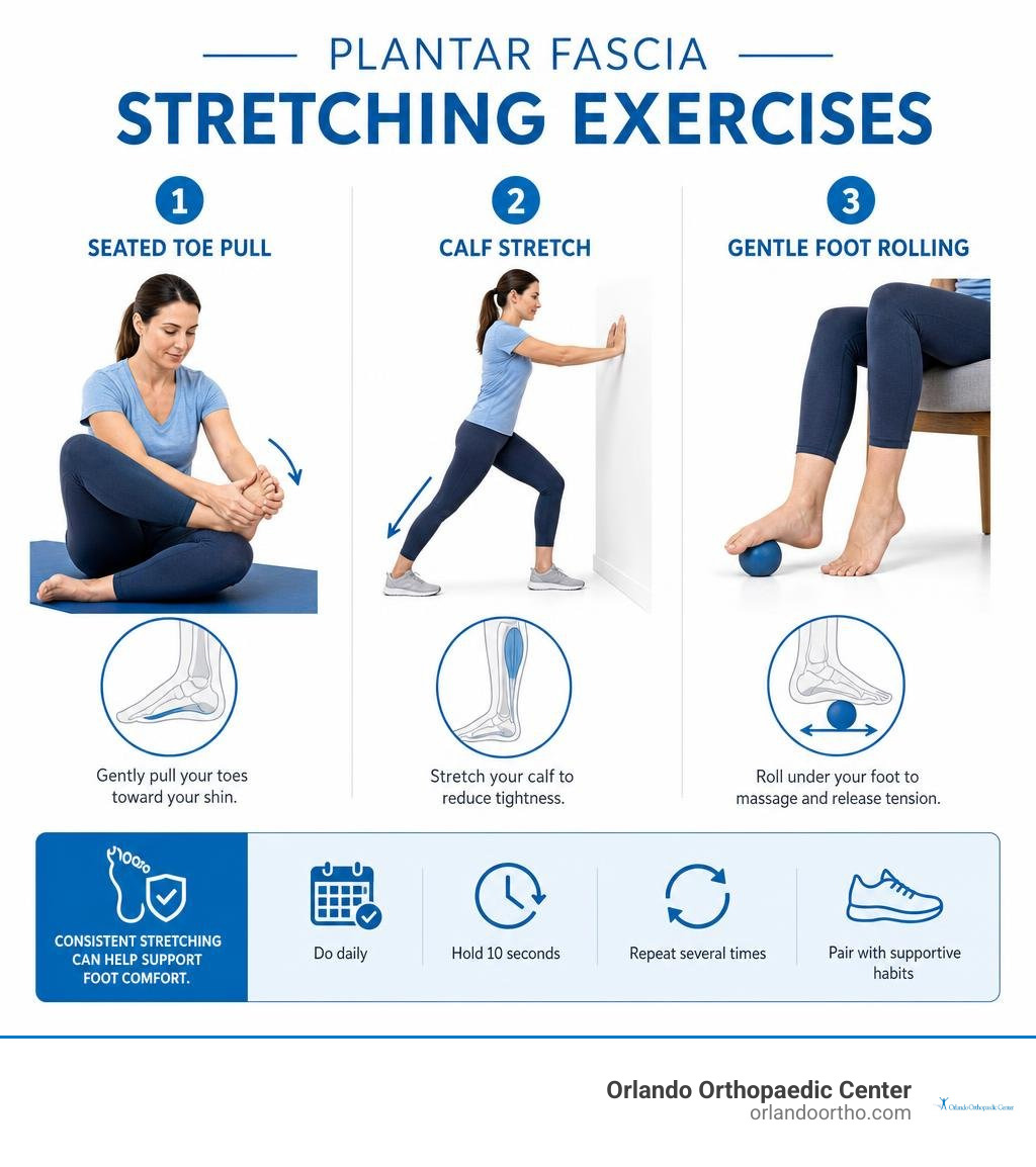 infographic showing seated toe pull, calf stretch, and gentle foot rolling infographic infographic showing seated toe pull, calf stretch, and gentle foot rolling infographic