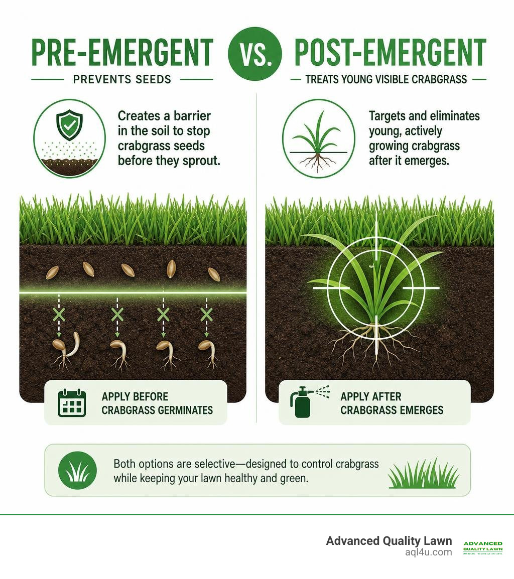 Pre-emergent prevents seeds while post-emergent treats young visible crabgrass infographic