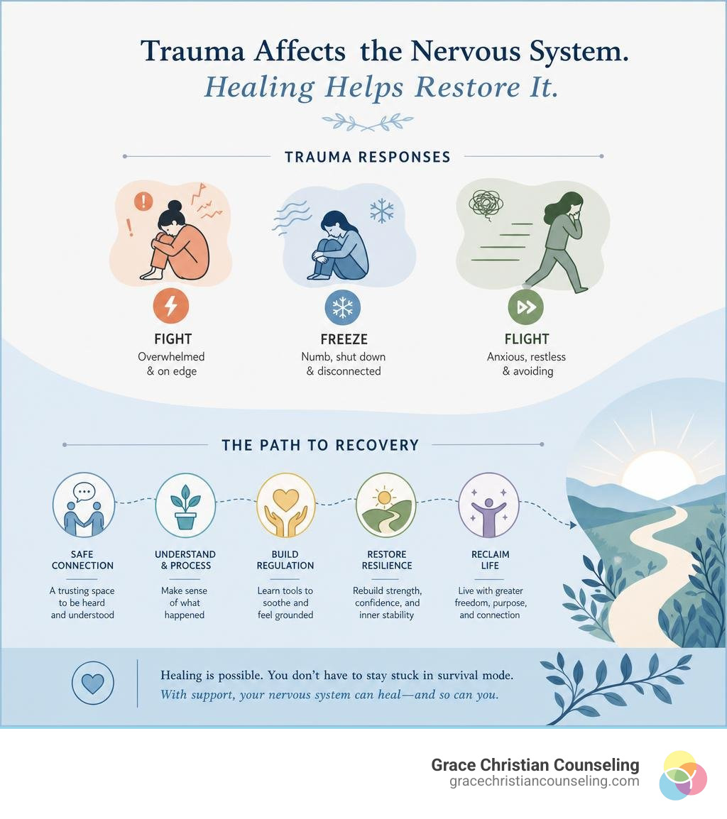 Simple clinically accurate infographic showing nervous system responses before, during, and after trauma with a hopeful Simple clinically accurate infographic showing nervous system responses before, during, and after trauma with a hopeful