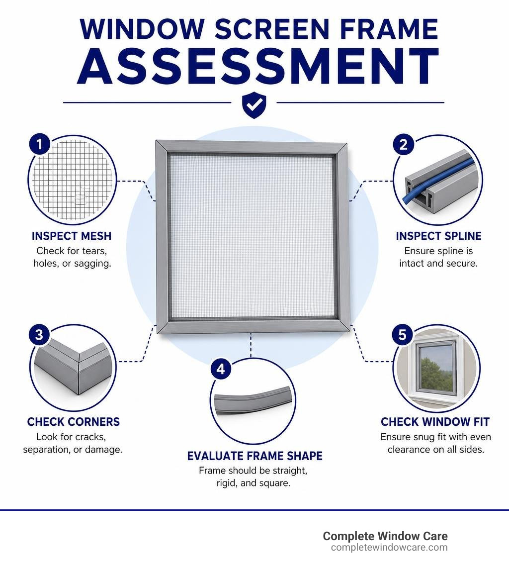 Window screen frame assessment: inspect mesh, spline, corners, frame shape, and window fit infographic