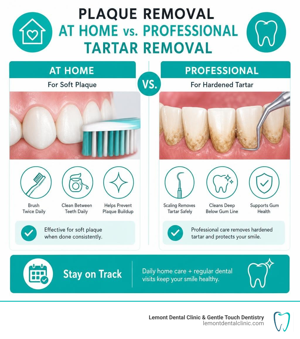 Plaque removal at home versus professional tartar removal infographic Plaque removal at home versus professional tartar removal infographic