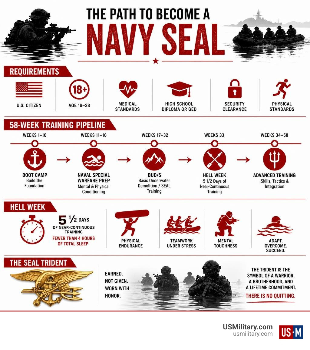 Infographic of Navy SEAL requirements, 58-week training pipeline, Hell Week, and SEAL Trident infographic Infographic of Navy SEAL requirements, 58-week training pipeline, Hell Week, and SEAL Trident infographic