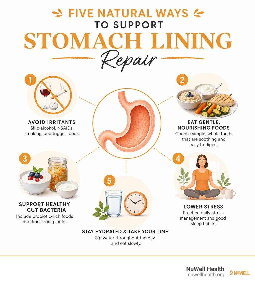 Five natural ways to support stomach lining repair infographic Five natural ways to support stomach lining repair infographic