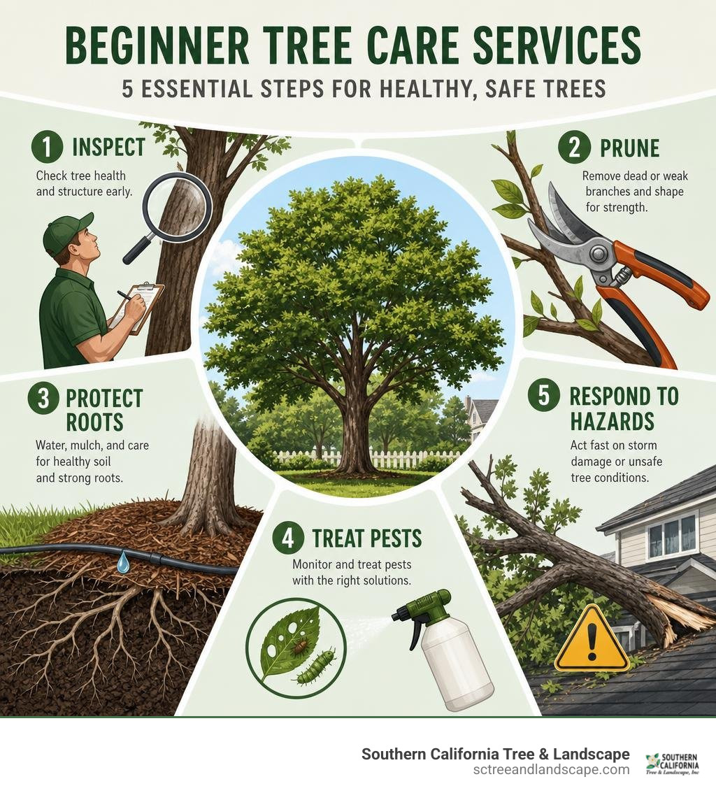 Beginner tree care services: inspect, prune, protect roots, treat pests, respond to hazards infographic