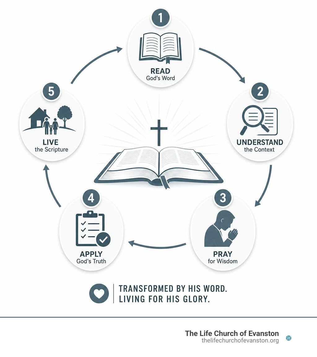 Basic Bible course study steps: read, understand context, pray, apply, live Scripture infographic Basic Bible course study steps: read, understand context, pray, apply, live Scripture infographic