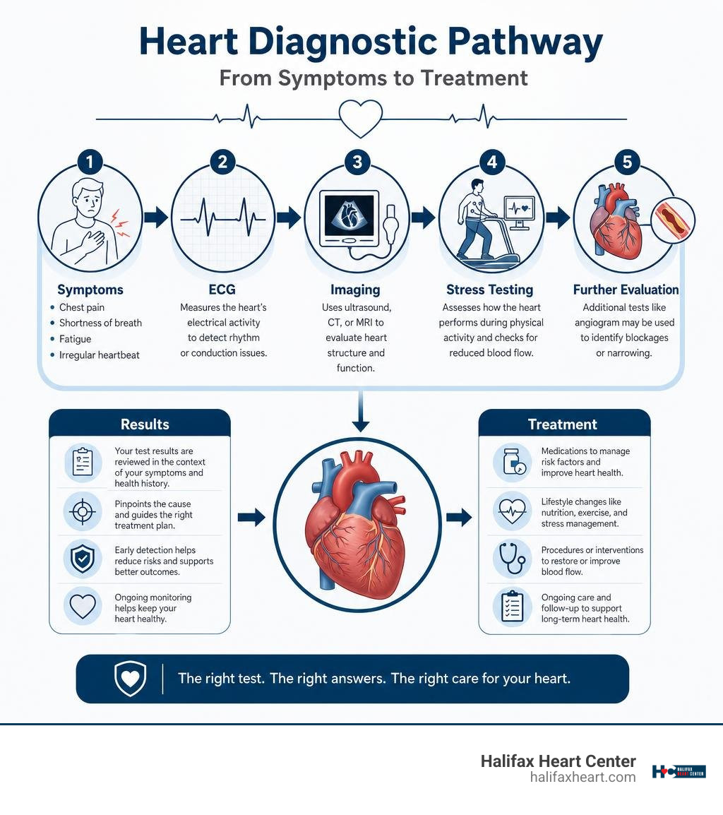 Heart diagnostic pathway from symptoms to ECG, imaging, stress testing, and treatment infographic