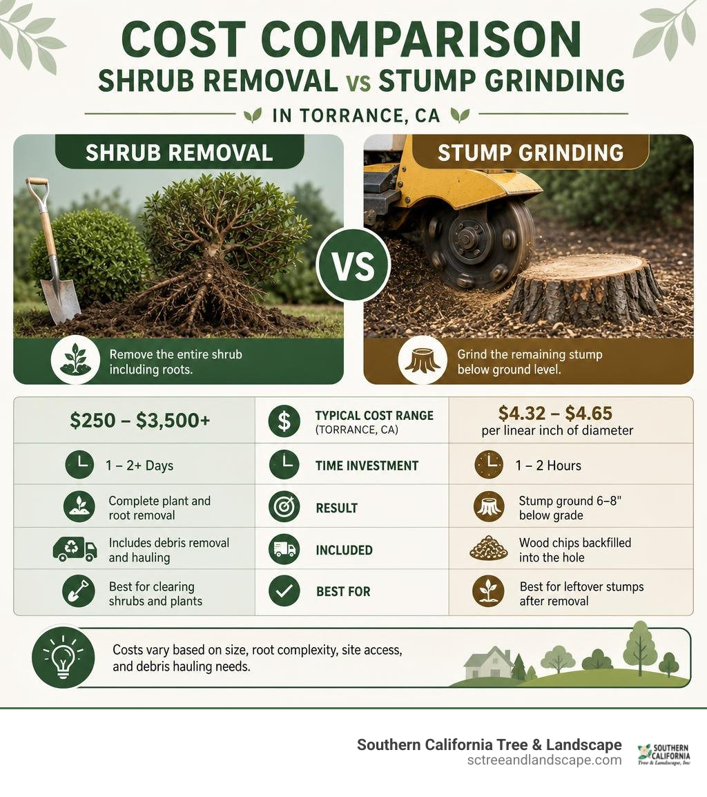 Cost comparison of shrub removal vs stump grinding in Torrance infographic Cost comparison of shrub removal vs stump grinding in Torrance infographic