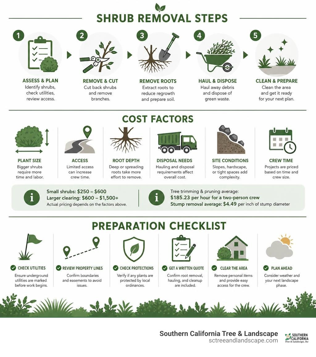 Shrub removal steps, cost factors, and preparation checklist infographic Shrub removal steps, cost factors, and preparation checklist infographic