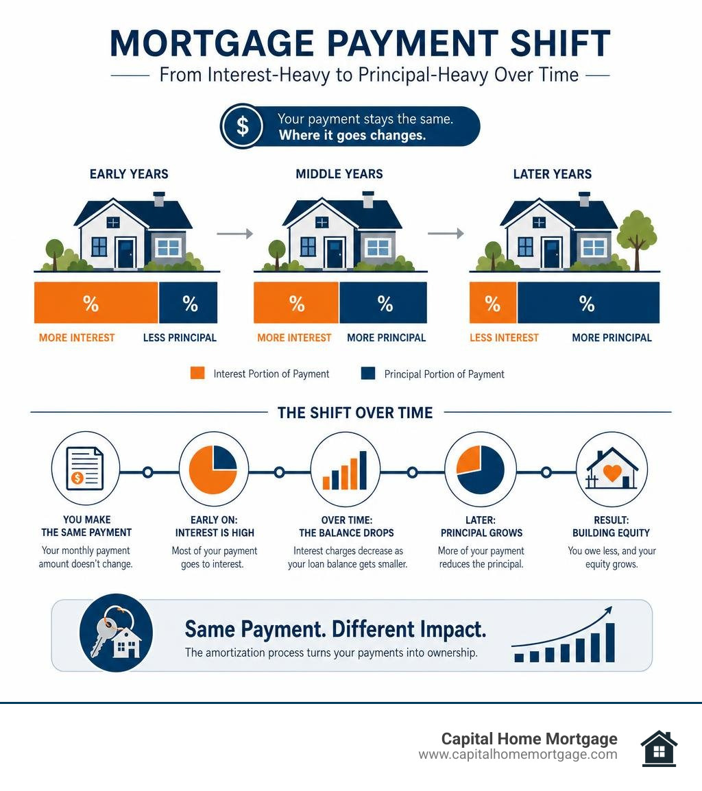 Mortgage payment shift from interest-heavy to principal-heavy over time infographic Mortgage payment shift from interest-heavy to principal-heavy over time infographic