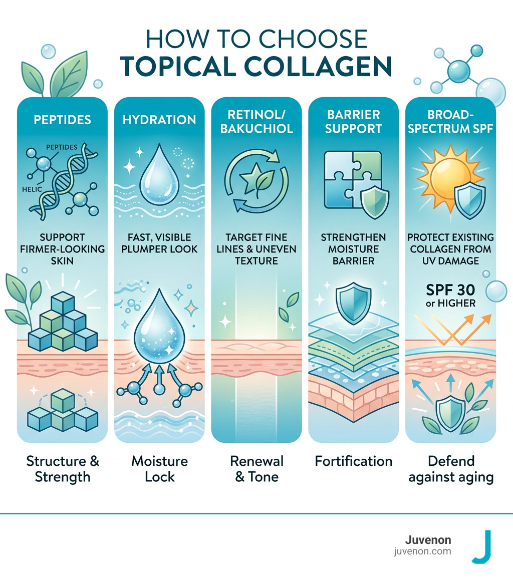 How to choose topical collagen: peptides, hydration, retinol, barrier support, and SPF infographic
