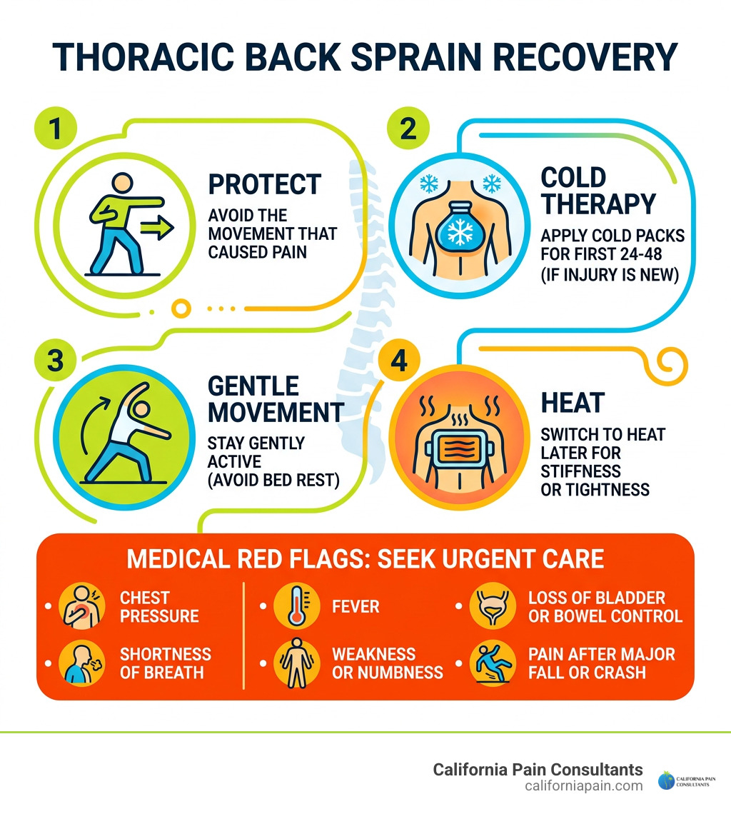 Thoracic back sprain recovery: protect, cold therapy, gentle movement, heat, and medical red flags infographic