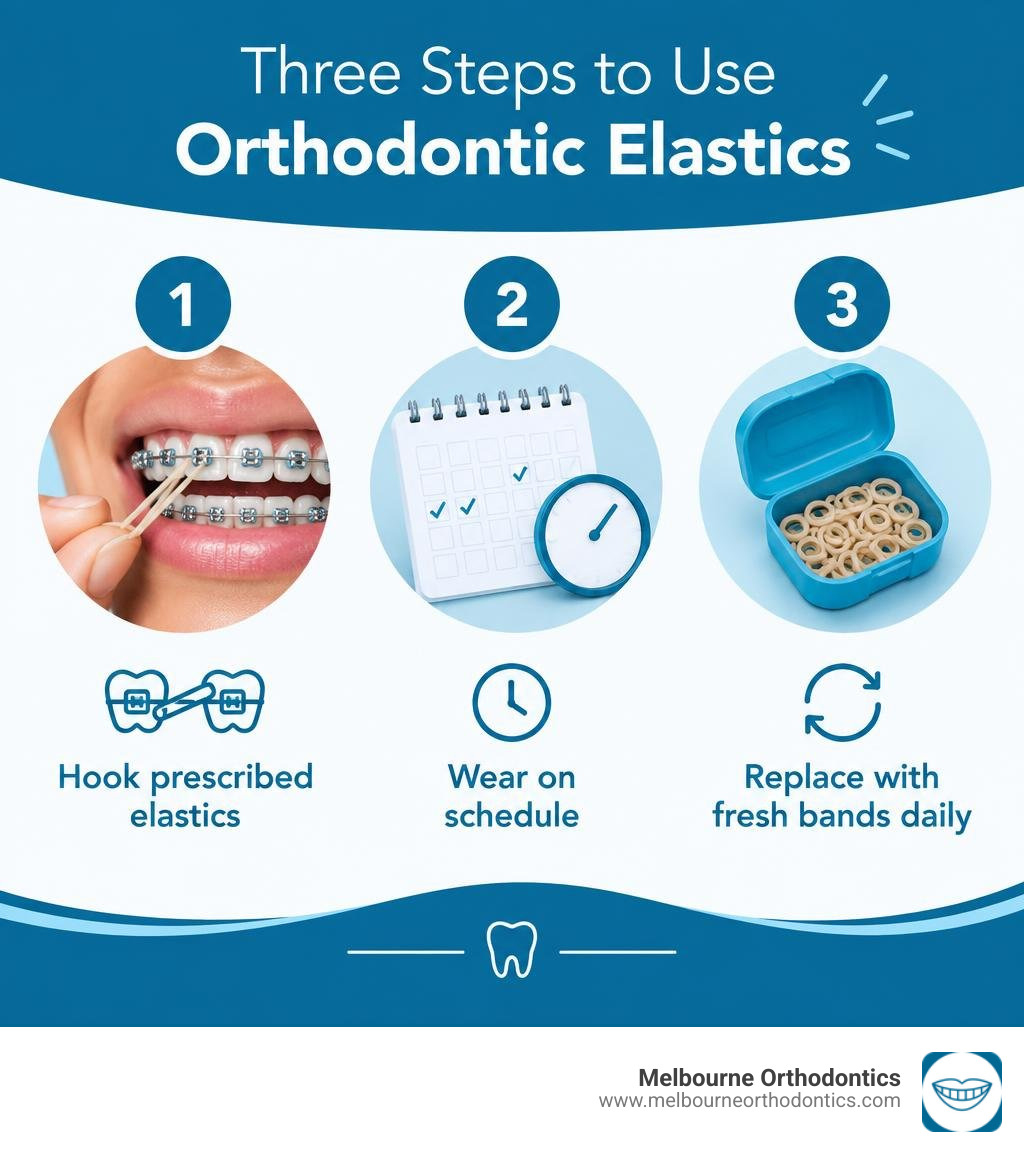 Three steps: hook prescribed elastics, wear on schedule, replace with fresh bands daily infographic Three steps: hook prescribed elastics, wear on schedule, replace with fresh bands daily infographic