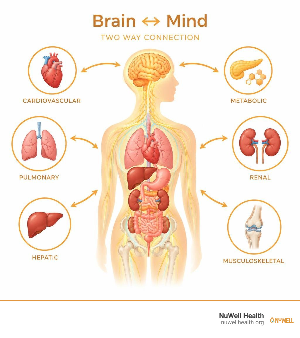 bidirectional organ brain mind pathways infographic bidirectional organ brain mind pathways infographic