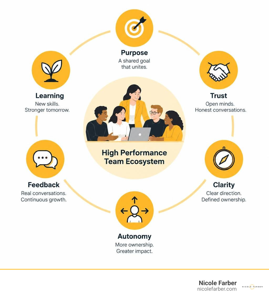 High performance team ecosystem: purpose, trust, clarity, autonomy, feedback, and learning infographic