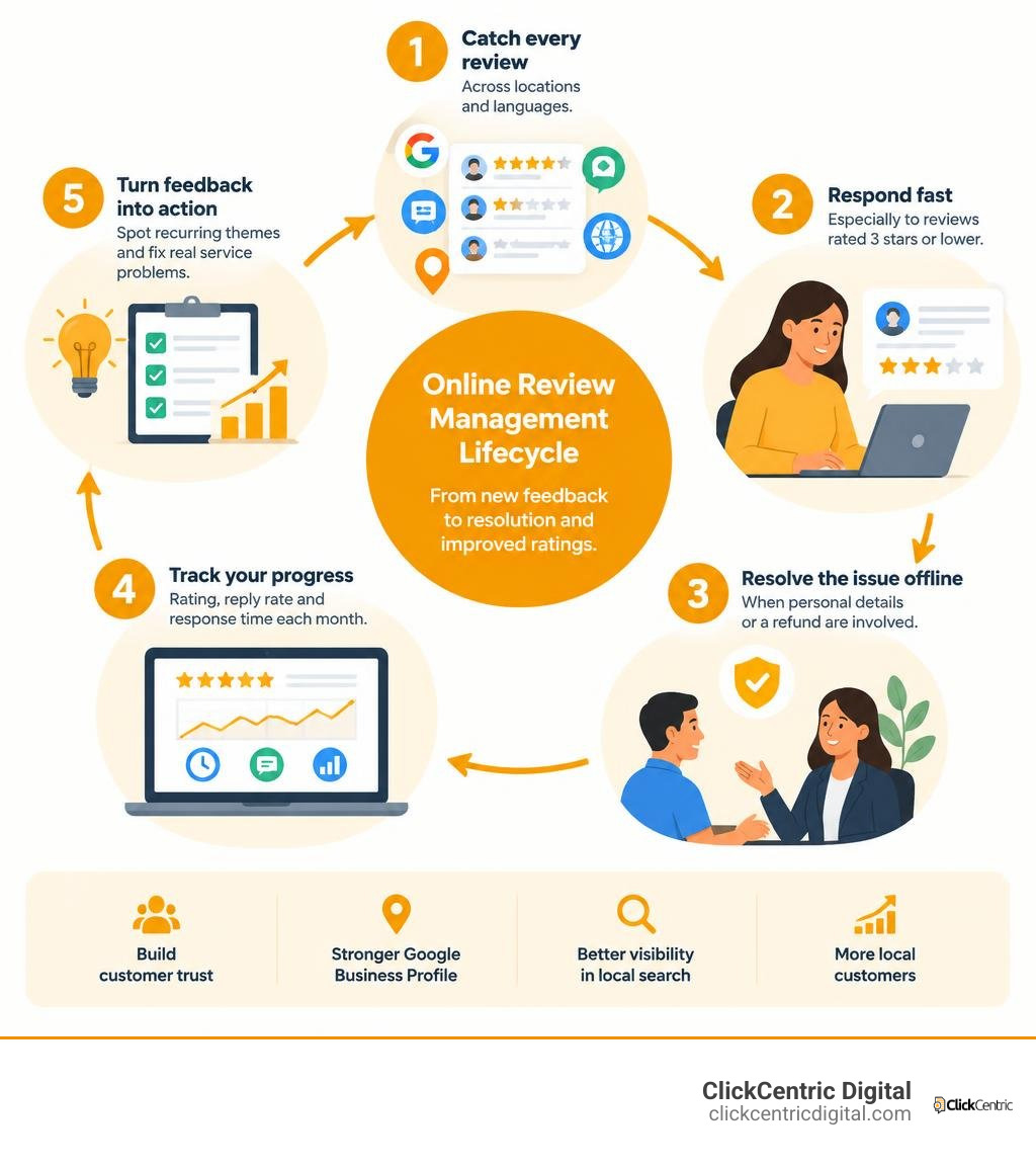 Online review management lifecycle from new feedback to resolution and improved ratings infographic