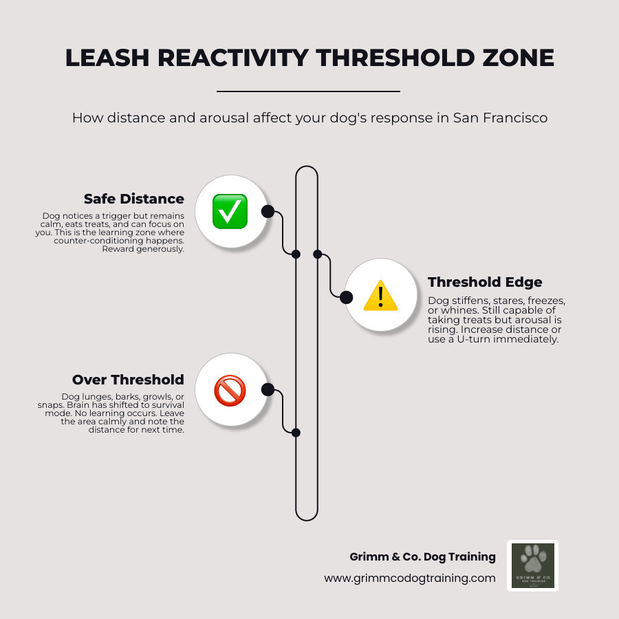 Reactive dog threshold: distance, calm learning zone, and over-threshold response infographic Reactive dog threshold: distance, calm learning zone, and over-threshold response infographic