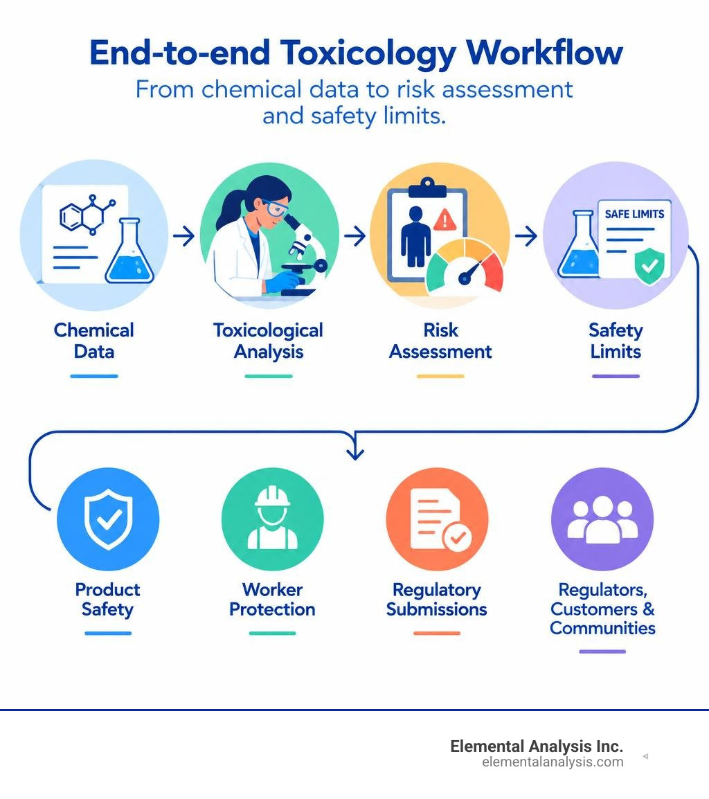 End-to-end toxicology workflow from chemical data to risk assessment and safety limits infographic End-to-end toxicology workflow from chemical data to risk assessment and safety limits infographic