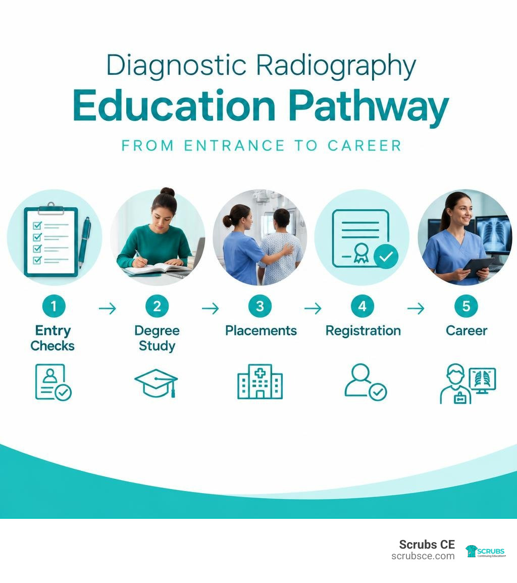 Diagnostic radiography education pathway: entry checks, degree study, placements, registration, career infographic Diagnostic radiography education pathway: entry checks, degree study, placements, registration, career infographic