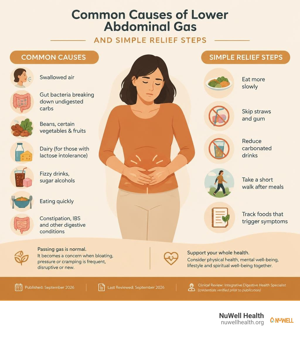 Common causes of lower abdominal gas and simple relief steps infographic