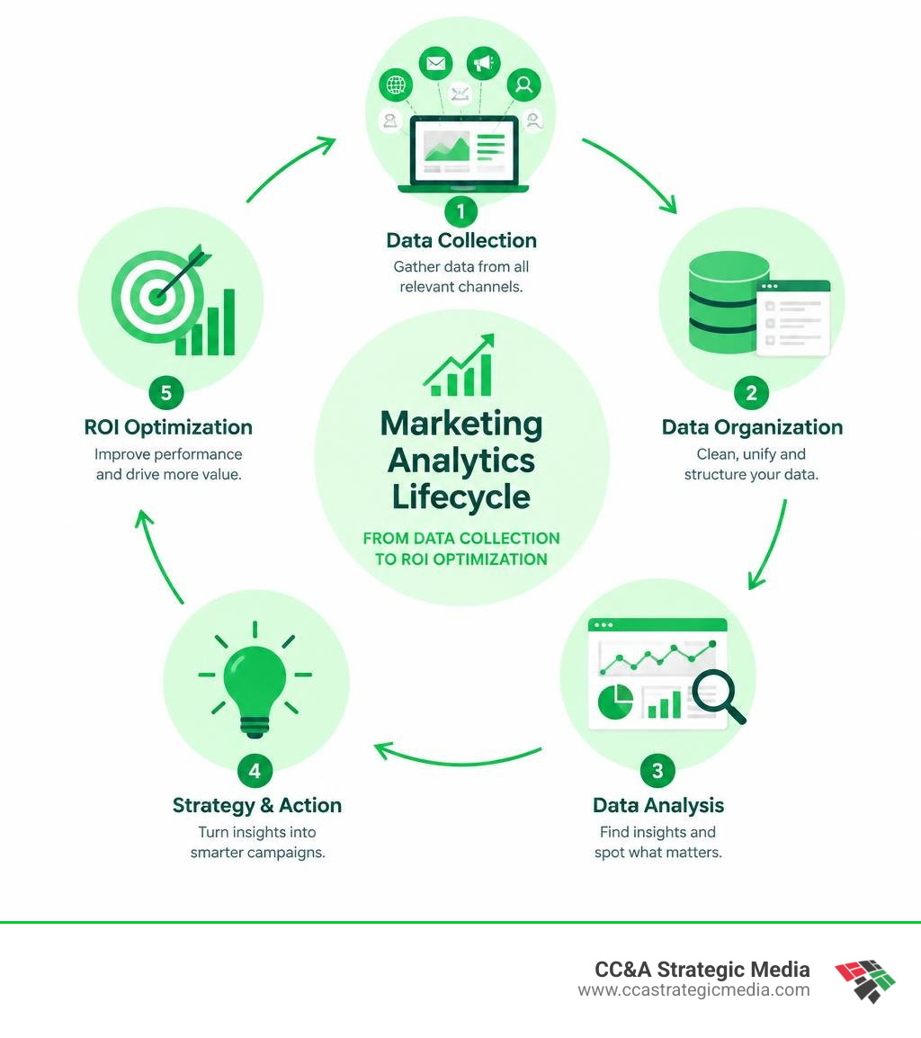 Marketing analytics lifecycle from data collection to ROI optimization infographic