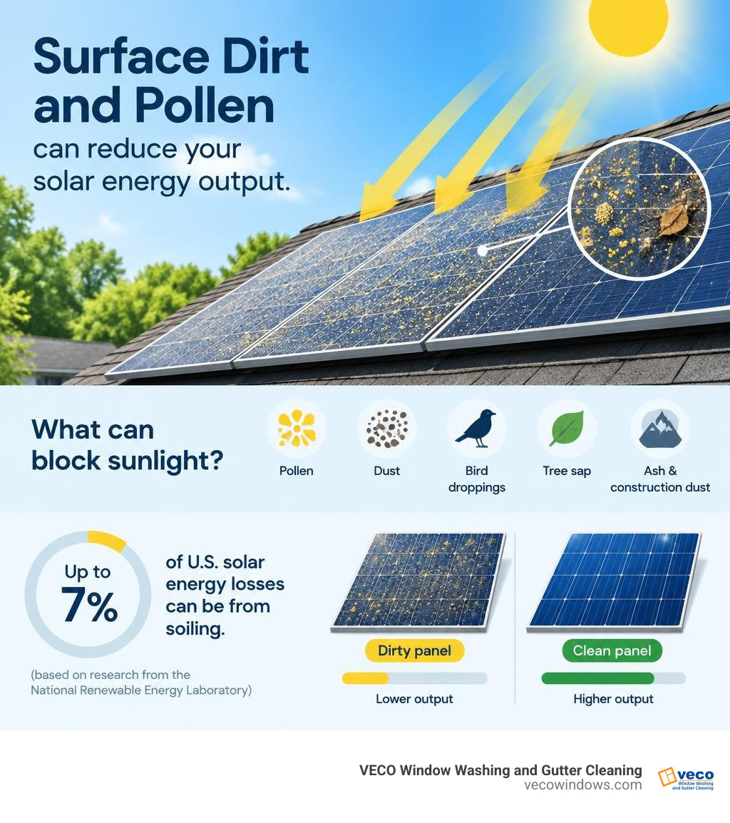 solar energy loss from surface dirt and pollen infographic