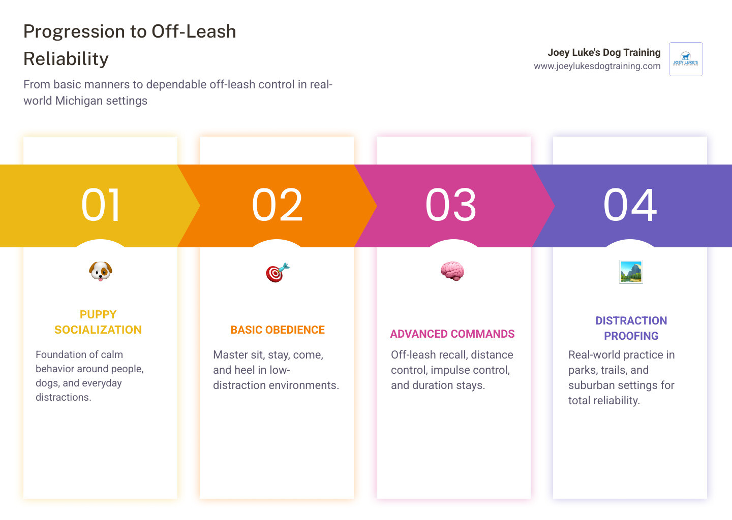 progression from basic puppy manners to advanced off leash obedience infographic progression from basic puppy manners to advanced off leash obedience infographic