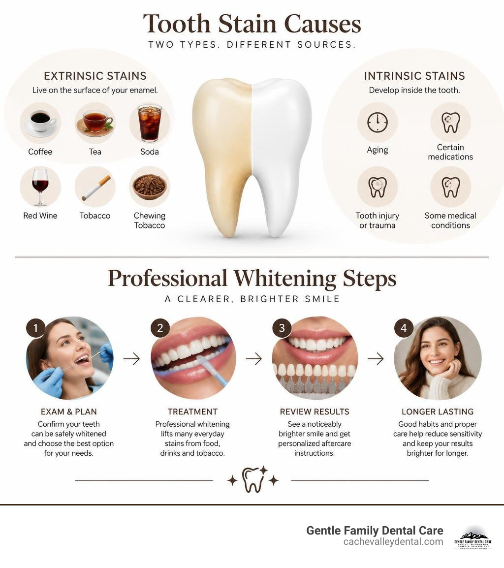 Tooth stain causes and professional whitening steps infographic