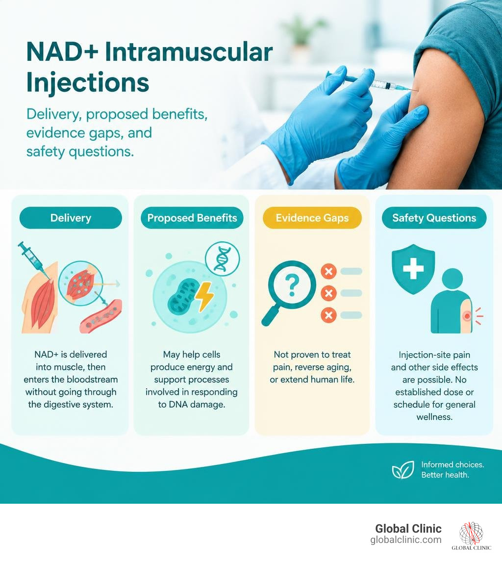NAD+ intramuscular injections: delivery, proposed benefits, evidence gaps, and safety questions infographic