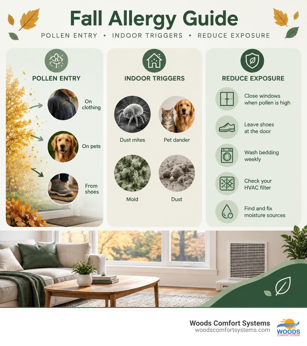 Fall allergy guide showing pollen entry, indoor triggers, and steps to reduce exposure infographic Fall allergy guide showing pollen entry, indoor triggers, and steps to reduce exposure infographic