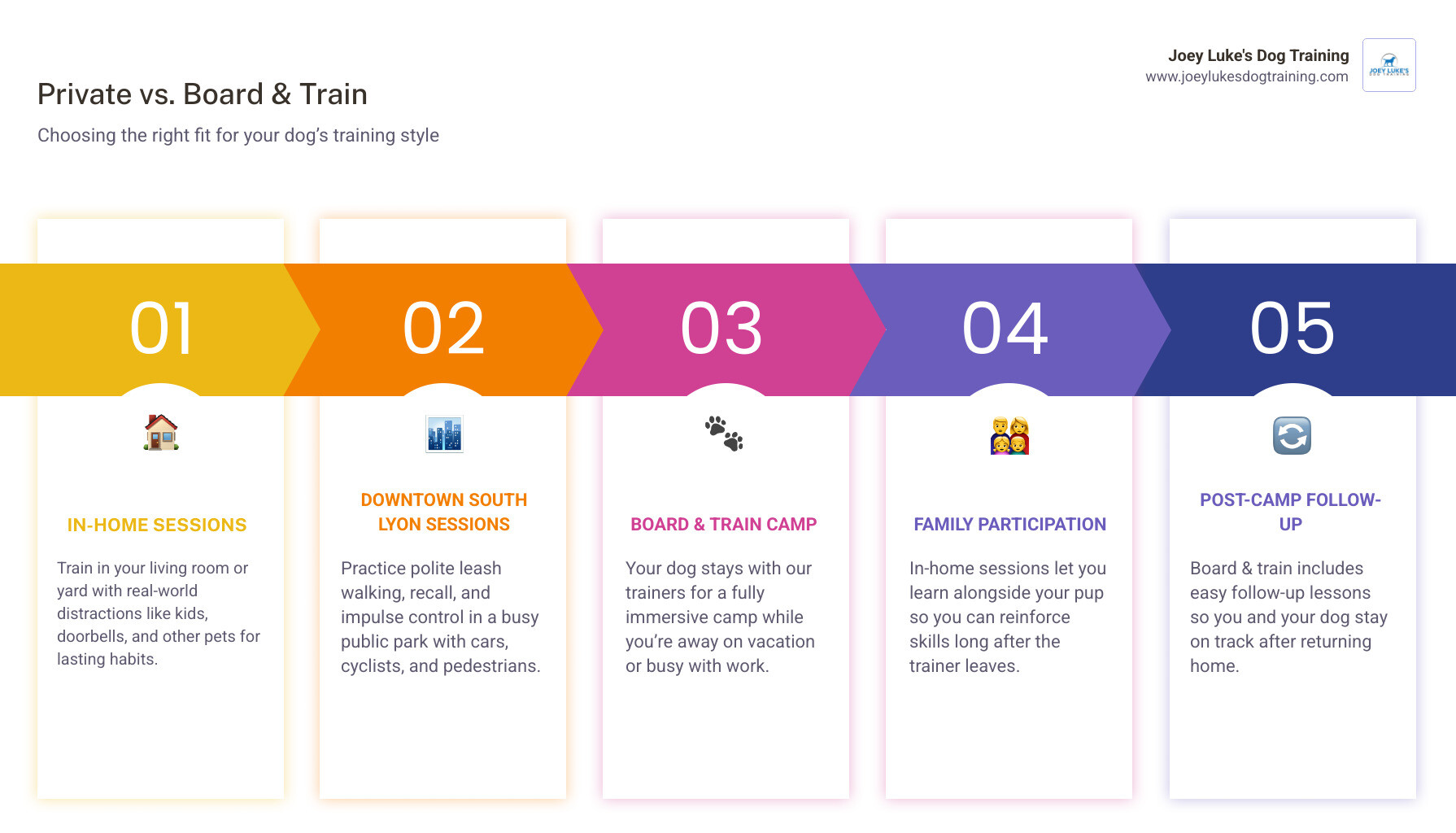 comparison of private in home lessons versus board and train programs infographic