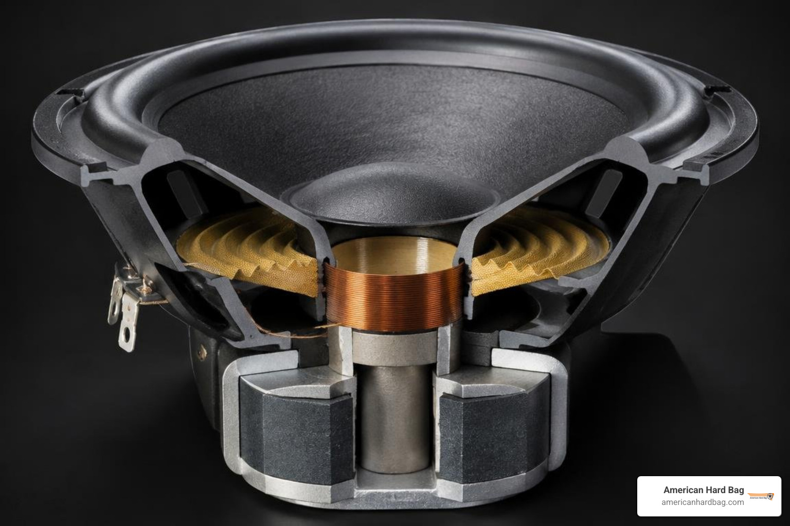 Cutaway view of Hertz speaker motor assembly and cone geometry