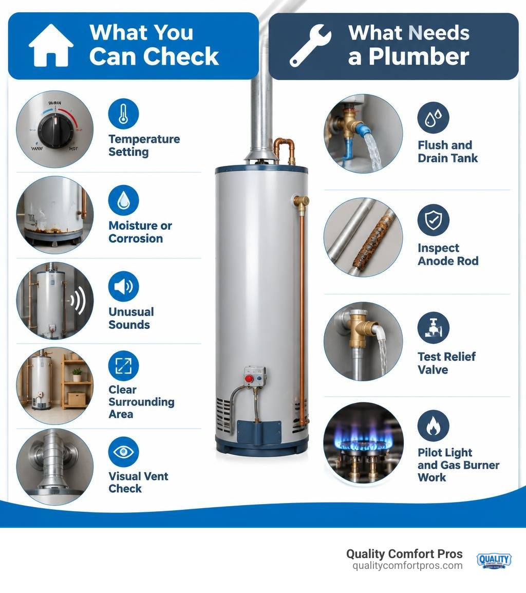 Infographic comparing homeowner water heater checks with plumber-only water heater tasks infographic Infographic comparing homeowner water heater checks with plumber-only water heater tasks infographic