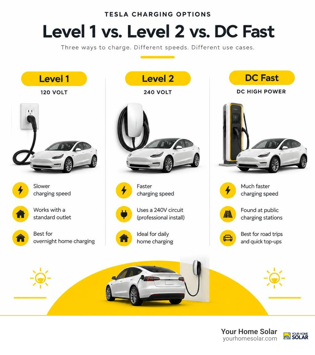 Comparison of Level 1, Level 2, and DC fast charging for a Tesla infographic Comparison of Level 1, Level 2, and DC fast charging for a Tesla infographic