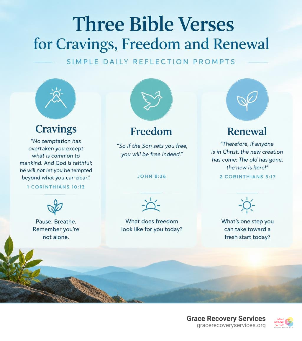 Three Bible verses for cravings, freedom, and renewal with simple daily reflection prompts infographic